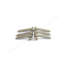 Euro platte kruiskopschroef voor 720004 en 720008 12x2mm
