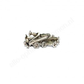 Euro platte kruiskopschroef voor 720004 en 720008 12x2mm