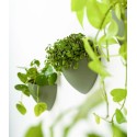 Artiteq Botaniq Hangbloempot in wit (of groen) voor aan de rail, incl. 2 perlon Twister ophangdraden 1mm en 2 Micro Grip haken