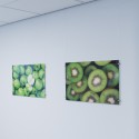 Artiteq Display-It Schroefklem enkel 3-6mm per stuk